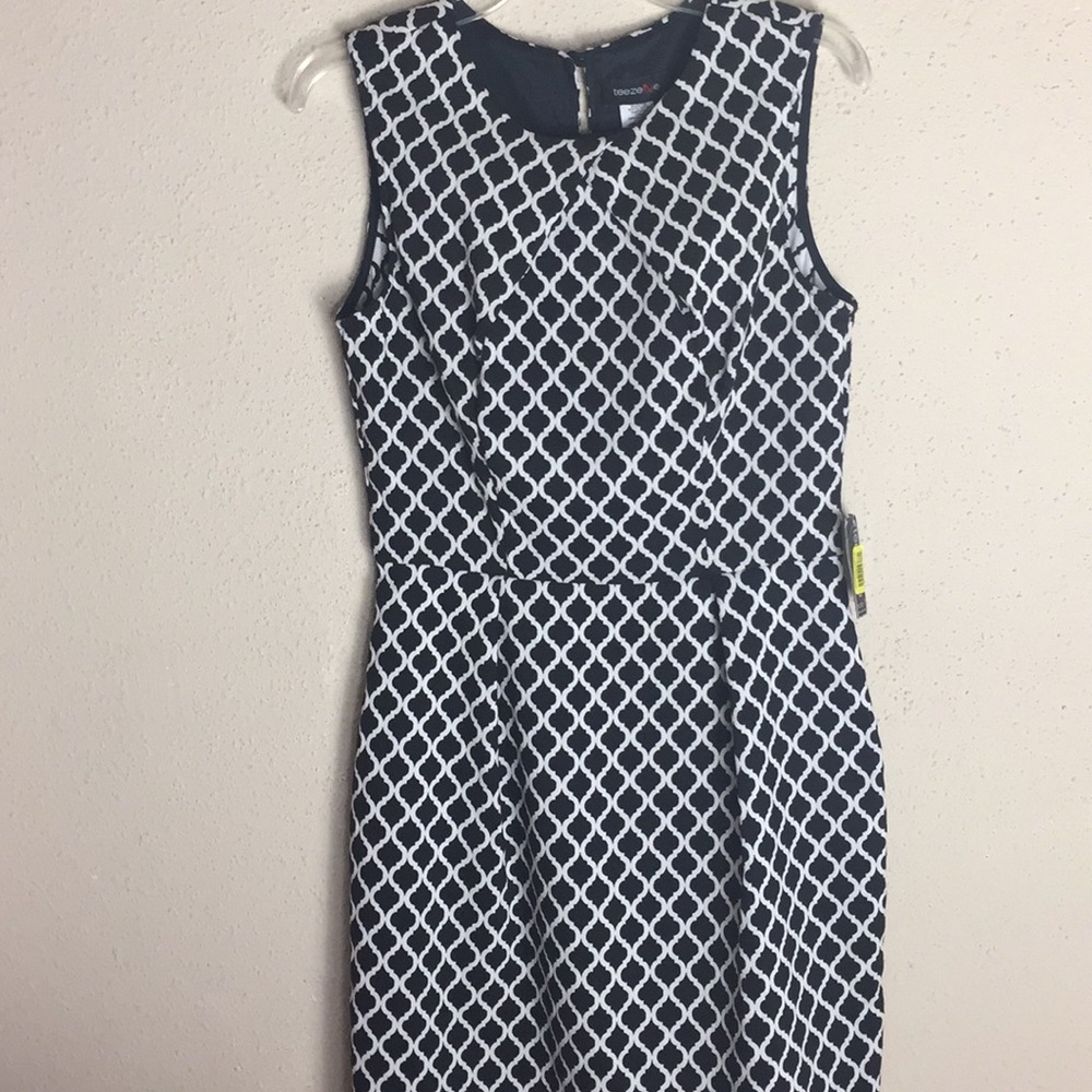 NWT Teeze Me Fit & Flare Dress Slit Back Zip